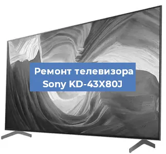 Замена порта интернета на телевизоре Sony KD-43X80J в Нижнем Новгороде